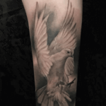 CNX Tattoo Taube Tattoo Realistic Arm von CNX Tattoo Berlin Prenzlauer Berg