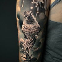 Vogel Tattoo Realistic Oberarm von CNX Tattoo Berlin Prenzlauer Berg