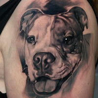 Hundeportrait Tattoo Realistic Schulter von CNX Tattoo Berlin Prenzlauer Berg