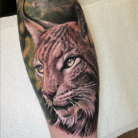 Luchs Tattoo Realistic Farbig Arm von CNX Tattoo Berlin Prenzlauer Berg