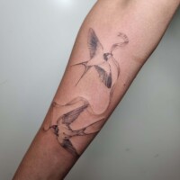 Schwalben Mikrorealismus Filigran Tattoo Unterarm von CNX Tattoo Berlin Prenzlauer Berg