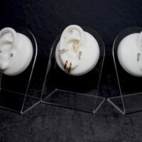Individuelle Ohr-Piercing designs in Berlin - CNX Tattoo Studio Prenzlauer Berg hilft dir , dein einzigartiges Ohrdesign zu kreieren