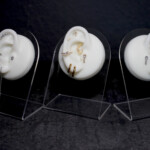 Individuelle Ohr-Piercing designs in Berlin - CNX Tattoo Studio Prenzlauer Berg hilft dir , dein einzigartiges Ohrdesign zu kreieren