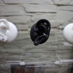 Individuelle Ohr-Piercing designs in Berlin - CNX Tattoo Studio Prenzlauer Berg hilft dir , dein einzigartiges Ohrdesign zu kreieren