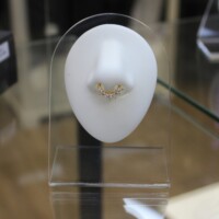 Septum Piercing Chirurgenstahl 16K vergoldet von CNX Tattoo Berlin Prenzlauer Berg