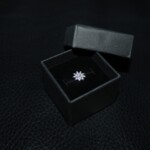 Conch Blume Piercing Titan von CNX Tattoo Berlin Prenzlauer Berg