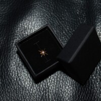 Stern Piercing Titan und Gold von CNX Tattoo Berlin Prenzlauer Berg